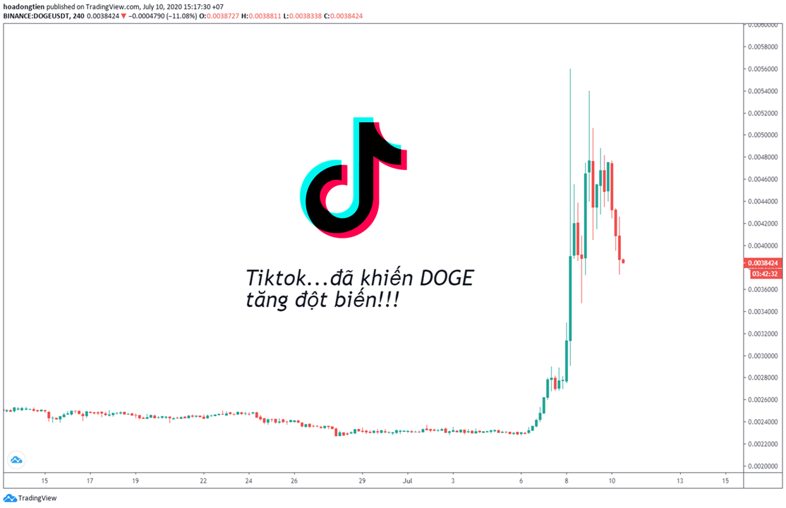 Tiktok viralizó doge aumentando sus precios