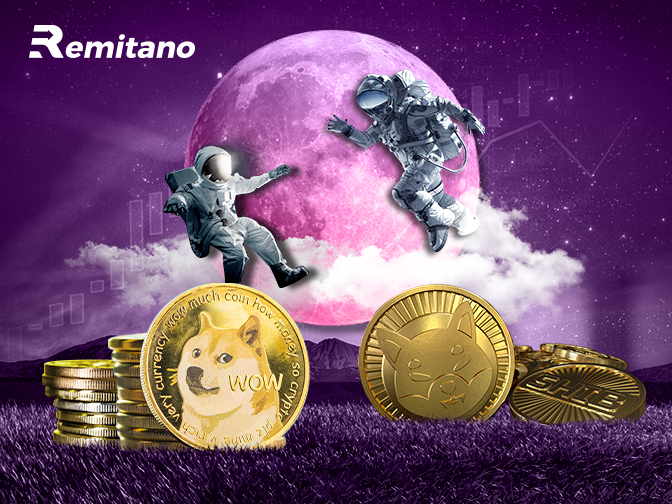 Dogecoin Vs Shiba