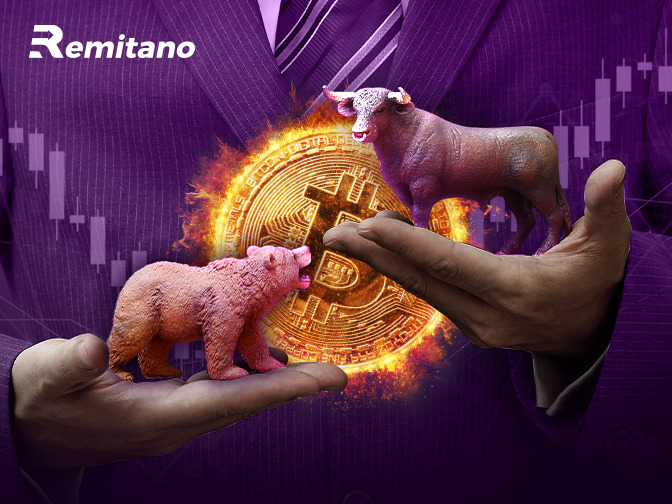 Bear vs Bull Market