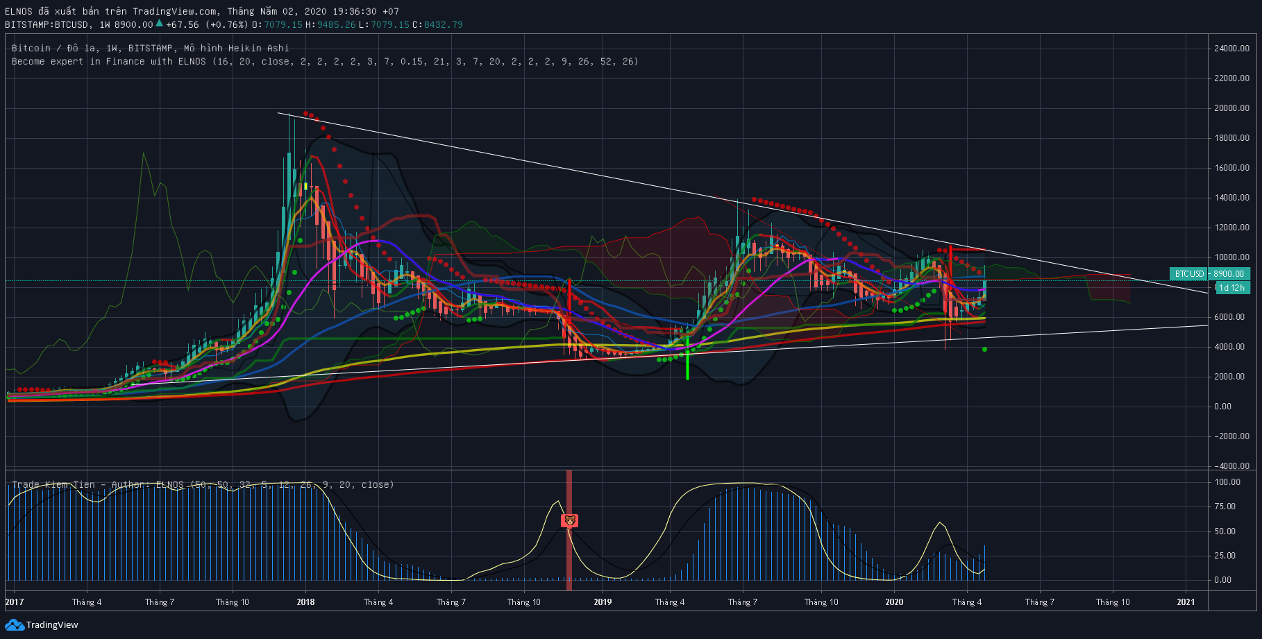 BTC 1 week